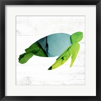 Sea Turtle Framed Print