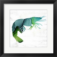 Shrimp Fine Art Print