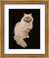 Cat Fine Art Print