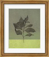 Green Leaves Fine Art Print