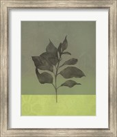 Green Leaves Fine Art Print