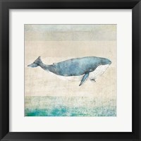 Whale Fine Art Print