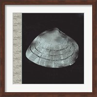 Seashell Fine Art Print