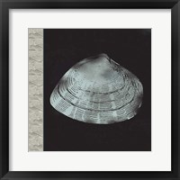 Seashell Fine Art Print