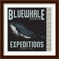 Blue Whale Tours Fine Art Print