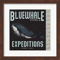 Blue Whale Tours Fine Art Print