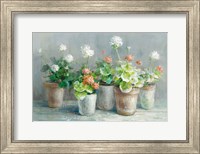 Farmhouse Geraniums Crop Fine Art Print