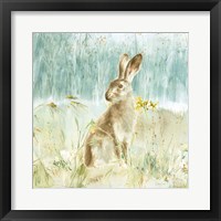 Meadows Edge VII Framed Print