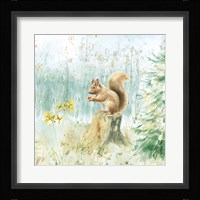 Meadows Edge VI Framed Print