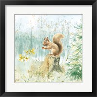 Meadows Edge VI Framed Print