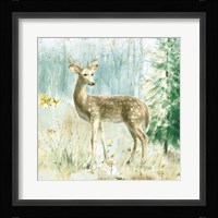 Meadows Edge III Framed Print