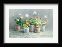Farmhouse Geraniums Fine Art Print