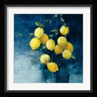 Lemon Grove II Framed Print