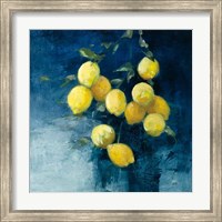 Lemon Grove II Fine Art Print