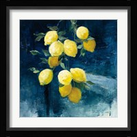 Lemon Grove I Framed Print