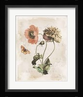 Antiquarian Blooms IV Framed Print
