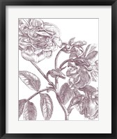 Belle Fleur I Plum Crop Fine Art Print