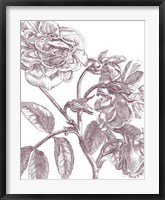 Belle Fleur I Plum Crop Fine Art Print
