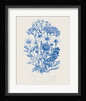 Flowering Plants V Mid Blue Framed Print