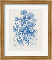 Flowering Plants IV Mid Blue Fine Art Print