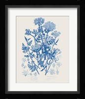 Flowering Plants IV Mid Blue Framed Print