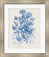 Flowering Plants IV Mid Blue Fine Art Print