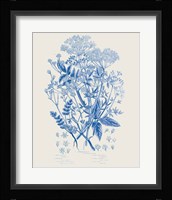 Flowering Plants I Mid Blue Framed Print