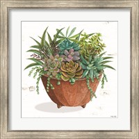 Terracotta Succulents I Fine Art Print