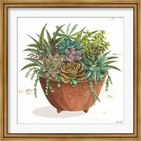 Terracotta Succulents I Fine Art Print