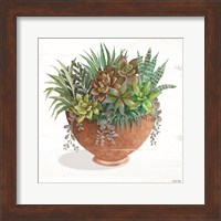 Terracotta Succulents II Fine Art Print
