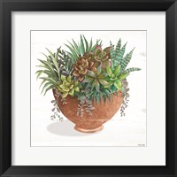 Terracotta Succulents II Fine Art Print
