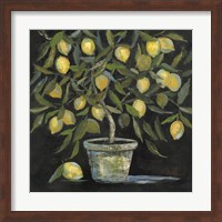 Lemon Tree Fine Art Print