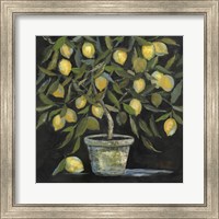 Lemon Tree Fine Art Print