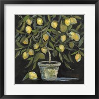 Lemon Tree Fine Art Print