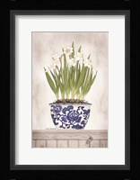 Blue and White Daffodils II Framed Print