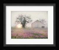 Summer Sunrise Fine Art Print