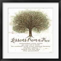 Lessons From a Tree Framed Print