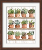 Succulents on Shelves Fine Art Print