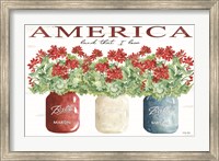 America Glass Jars Fine Art Print