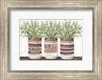 Patriotic Glass Jar Trio I Fine Art Print