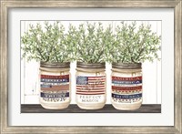 Patriotic Glass Jar Trio I Fine Art Print