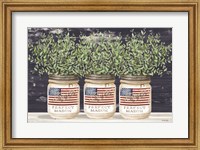 Patriotic Glass Jar Trio II Fine Art Print
