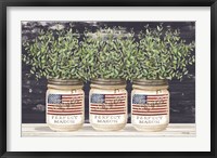 Patriotic Glass Jar Trio II Fine Art Print