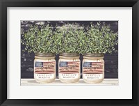 Patriotic Glass Jar Trio II Fine Art Print