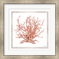 Pink Coastal Coral I Fine Art Print