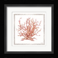 Pink Coastal Coral I Framed Print