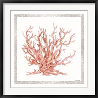 Pink Coastal Coral II Fine Art Print