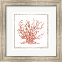 Pink Coastal Coral II Fine Art Print