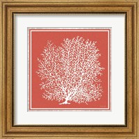Coastal Coral on Red II Fine Art Print