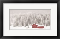 Old Wyoming Barn Fine Art Print